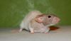 DSC_0114~5.jpg