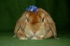 DSC_0116~1.jpg