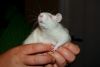 DSC_0116~4.jpg