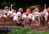 DSC_0117~1.jpg