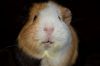 DSC_0118~17.jpg
