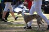 DSC_0118~21.jpg