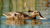 DSC_0118~7.jpg