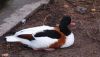 DSC_0122~2.jpg