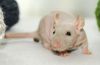 DSC_0123~13.jpg