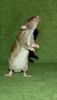 DSC_0123~7.jpg