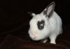 DSC_0125~10.jpg