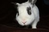 DSC_0126~7.jpg