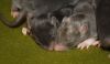 DSC_0126~9.jpg