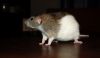 DSC_0128~1.jpg