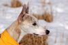 DSC_0129~13.jpg