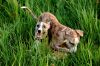 DSC_0136~15.jpg
