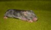 DSC_0138~6.jpg
