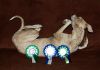 DSC_0145~16.jpg