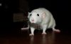 DSC_0145~3.jpg