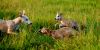 DSC_0147~14.jpg