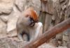 DSC_0148~1.jpg