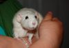 DSC_0152~3.jpg