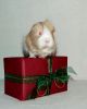 DSC_0156~4.jpg