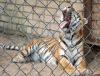 DSC_0157.jpg