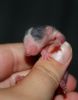 DSC_0157~3.jpg