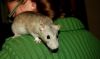DSC_0159~2.jpg