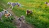 DSC_0160~5.jpg