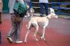 DSC_0161~17.jpg