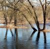DSC_0161~5.jpg