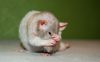 DSC_0161~7.jpg