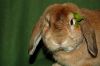 DSC_0164~0.jpg