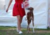 DSC_0165~8.jpg