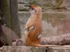 DSC_0166~0.jpg