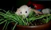 DSC_0167~1.jpg