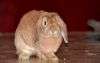 DSC_0167~12.jpg