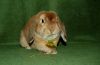DSC_0169~1.jpg