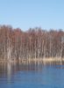 DSC_0170~4.jpg
