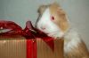 DSC_0171~10.jpg