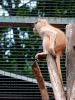 DSC_0172.jpg