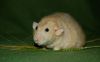 DSC_0174~1.jpg