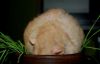 DSC_0174~2.jpg