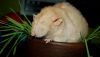 DSC_0176~2.jpg