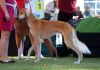 DSC_0177~10.jpg