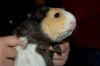 DSC_0181~1.jpg