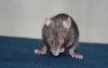 DSC_0183~4.jpg