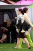 DSC_0184~10.jpg