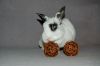 DSC_0185~3.jpg