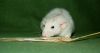 DSC_0186~0.jpg