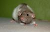 DSC_0186~2.jpg