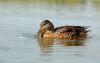 DSC_0186~3.jpg